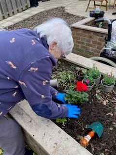 A resident gardening