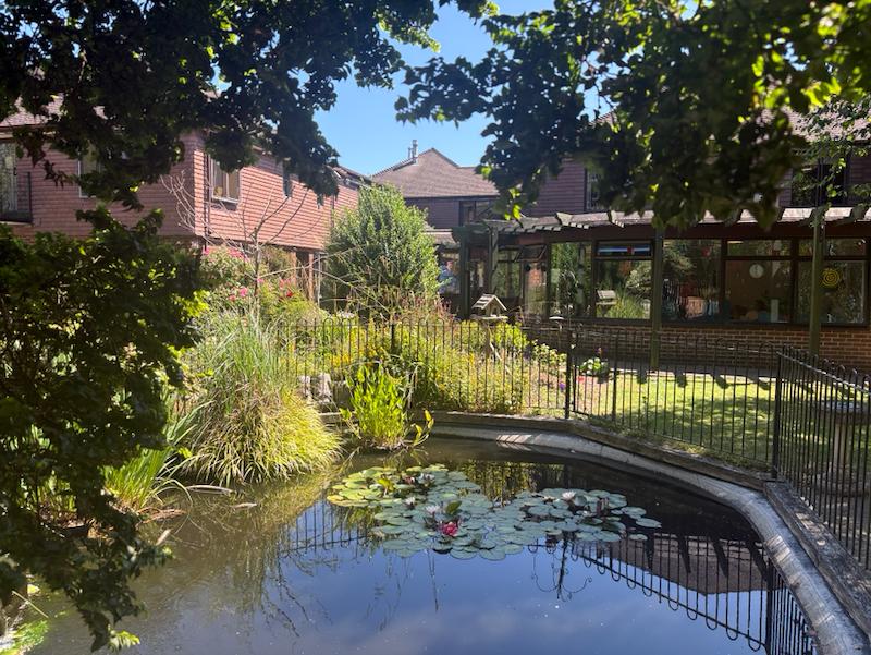 our outdoor pond and garden