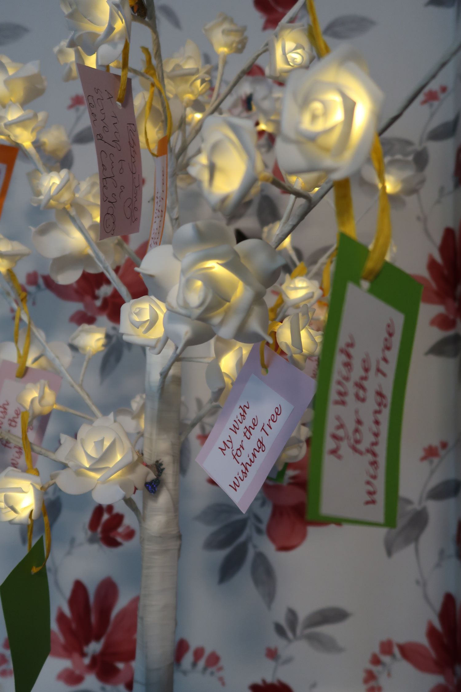 our wishing tree