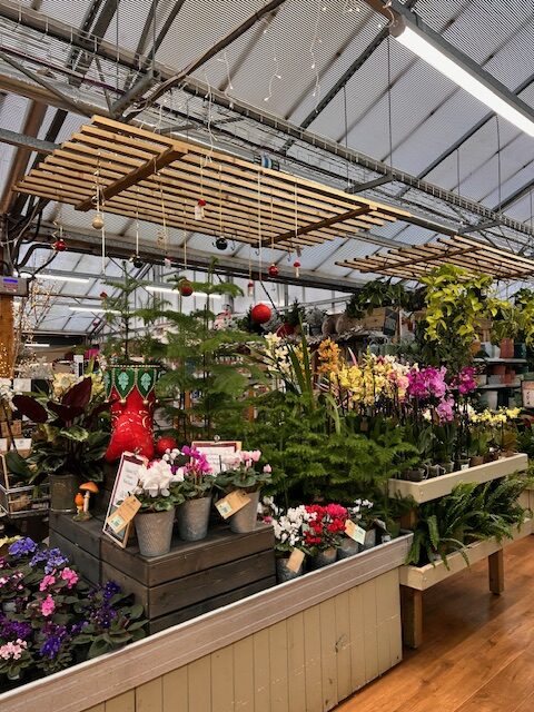 garden center