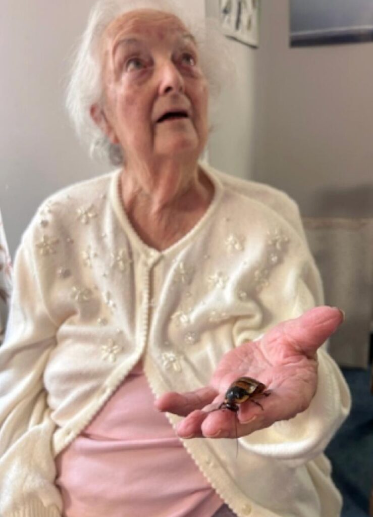 resident holding a beetle